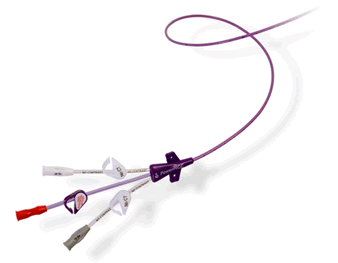 3275155 KIT CATHETER DUAL LUMEN 5FR RADSTIC MICROINTRODUCER ( CS 5 ...