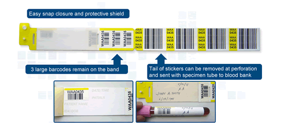 Typenex Medicalllc Bees Medical